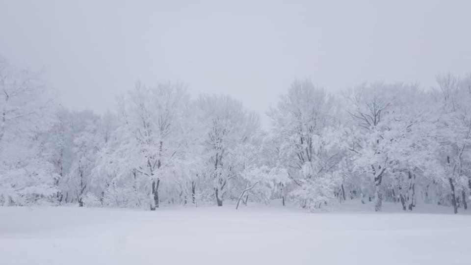 Konayuki Ξενοδοχείο Myoko Εξωτερικό φωτογραφία